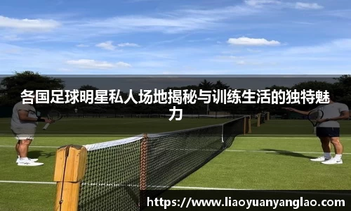 各国足球明星私人场地揭秘与训练生活的独特魅力