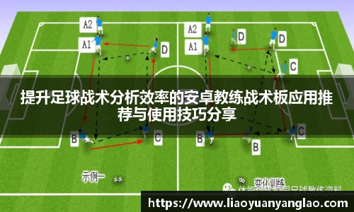 星空综合官方网站